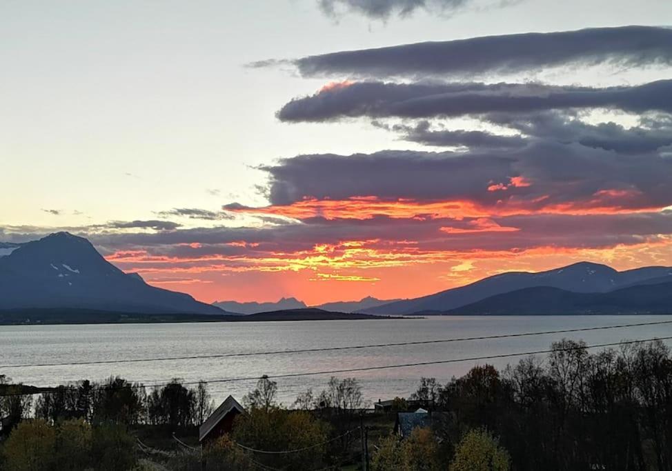 Liten Kjellerleilighet. Landlig Rolig Omrade. Tromsø Esterno foto