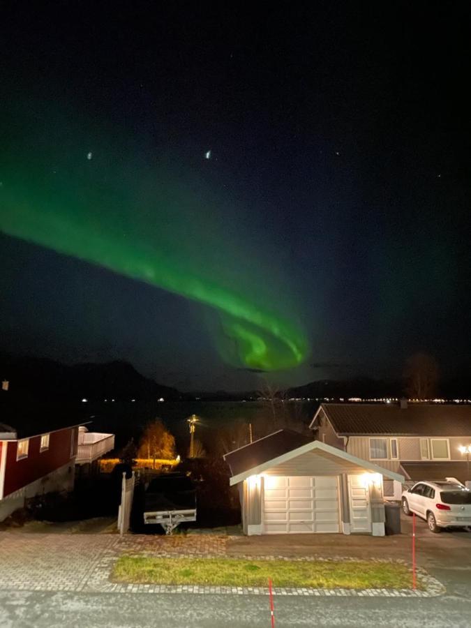 Liten Kjellerleilighet. Landlig Rolig Omrade. Tromsø Esterno foto