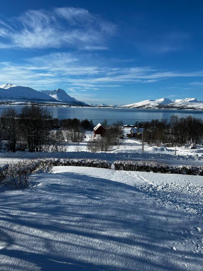 Liten Kjellerleilighet. Landlig Rolig Omrade. Tromsø Esterno foto
